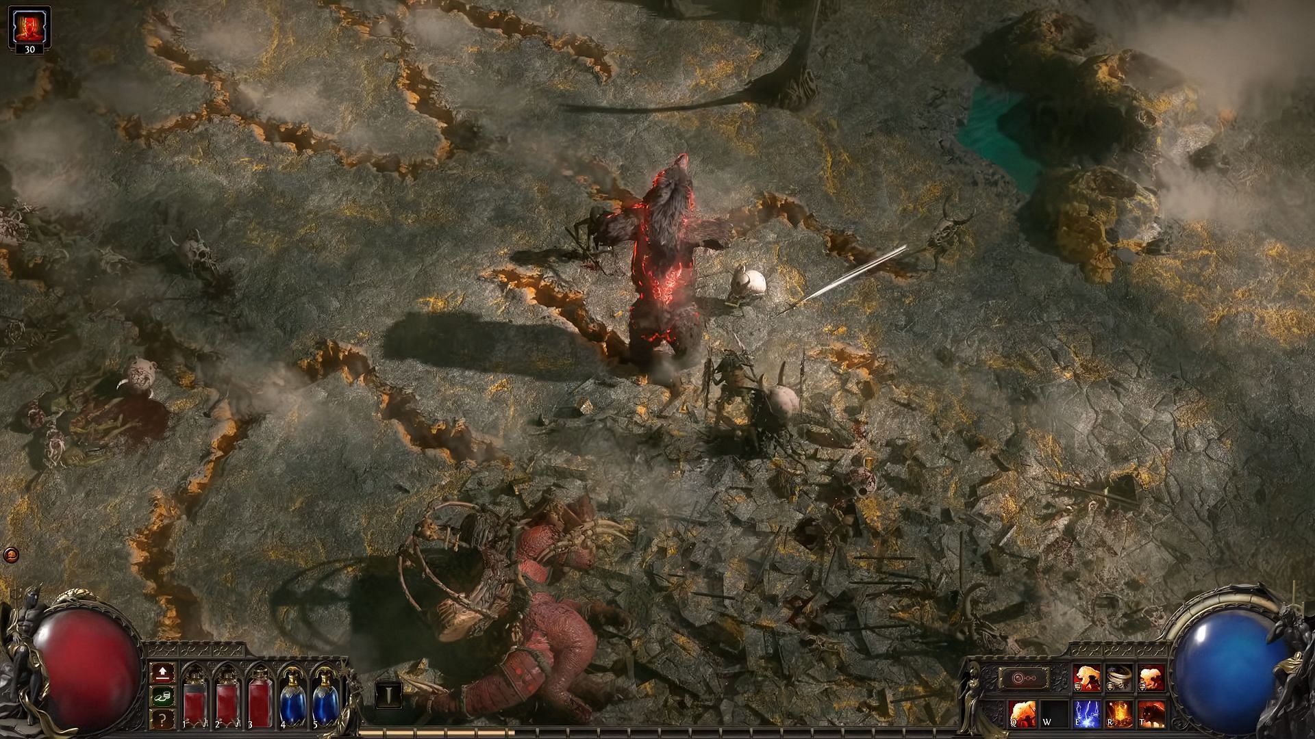 Druid Bear form on Isle of Kin (Image via Grinding Gear Games)